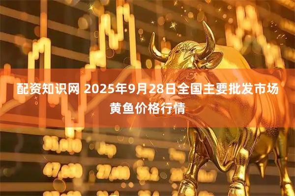 配资知识网 2025年9月28日全国主要批发市场黄鱼价格行情